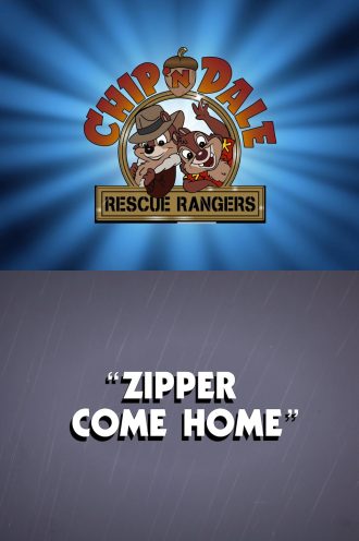 Zipper Come Home